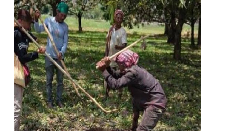 চাঁপাইনবাবগঞ্জ সীমান্তে নারীসহ ৬ জনকে আহতের পর গ্রামবাসীর হাতে মারা পড়েছে ১টি ভারতীয় বন্য শুকর